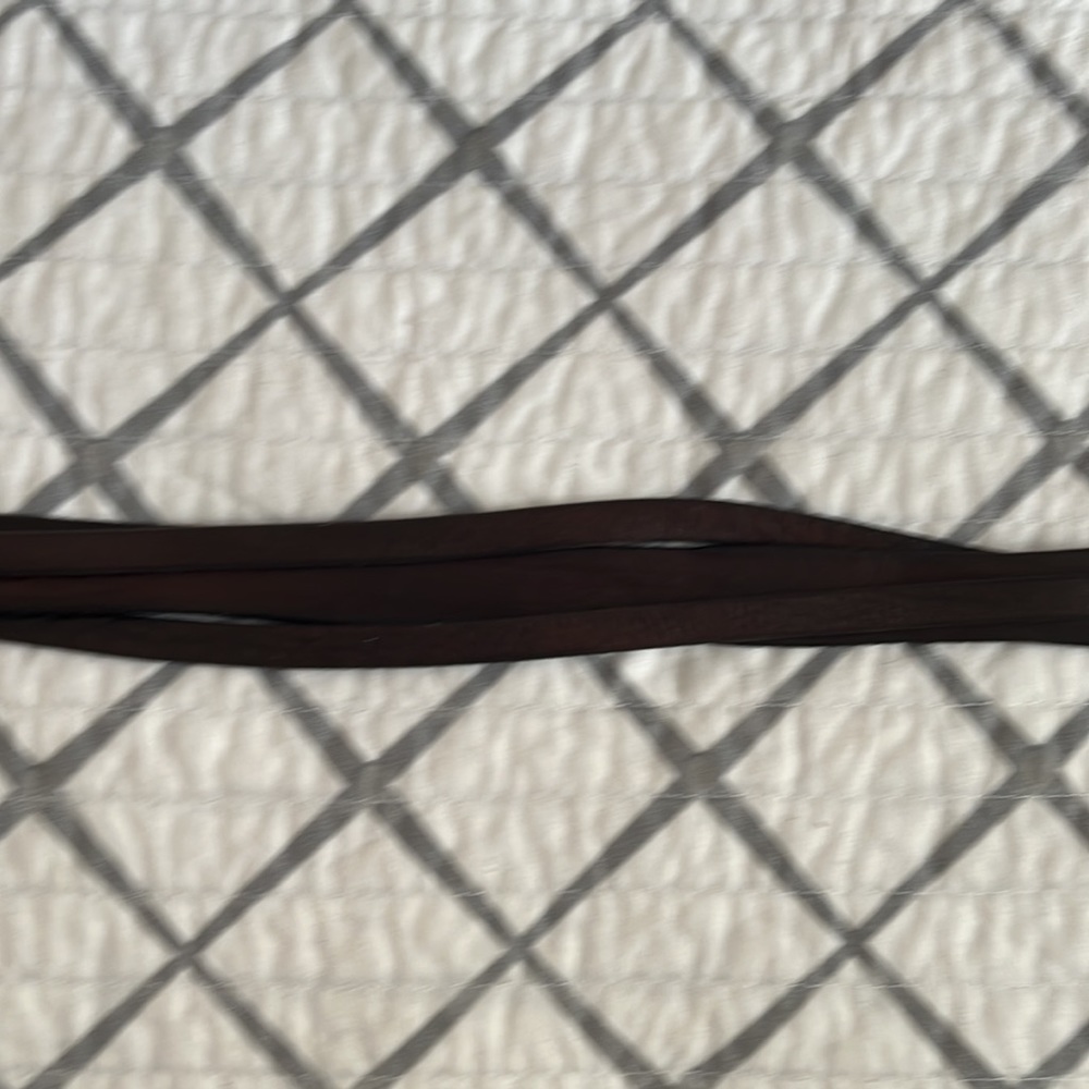 La Fee Maraboutee brown belt - Picture 3 of 6